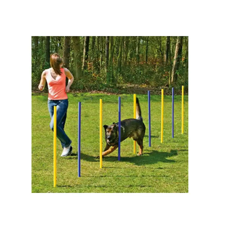 Beeztees Agility Slalom Set - Image 2
